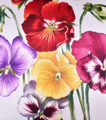 Pansies cushion cover